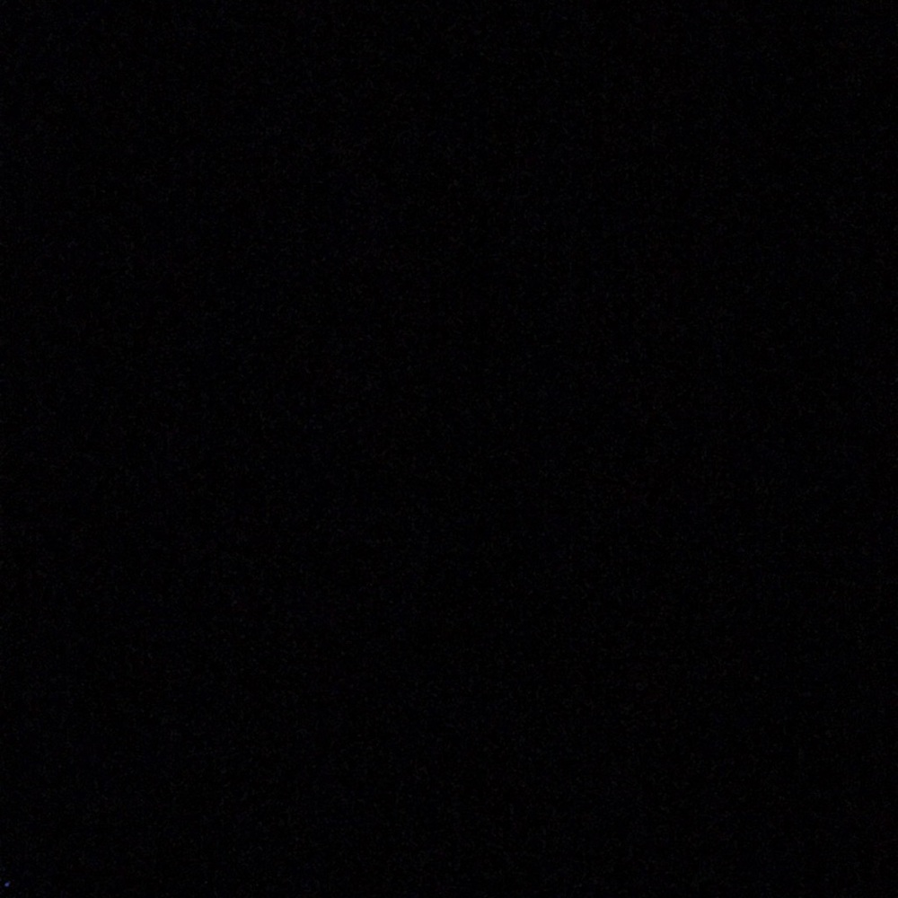 Meet your Posher, Dylan
